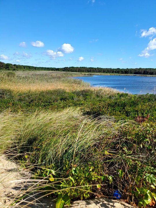 South Cape Beach - Beaches Near Me - Mashpee, Massachusetts