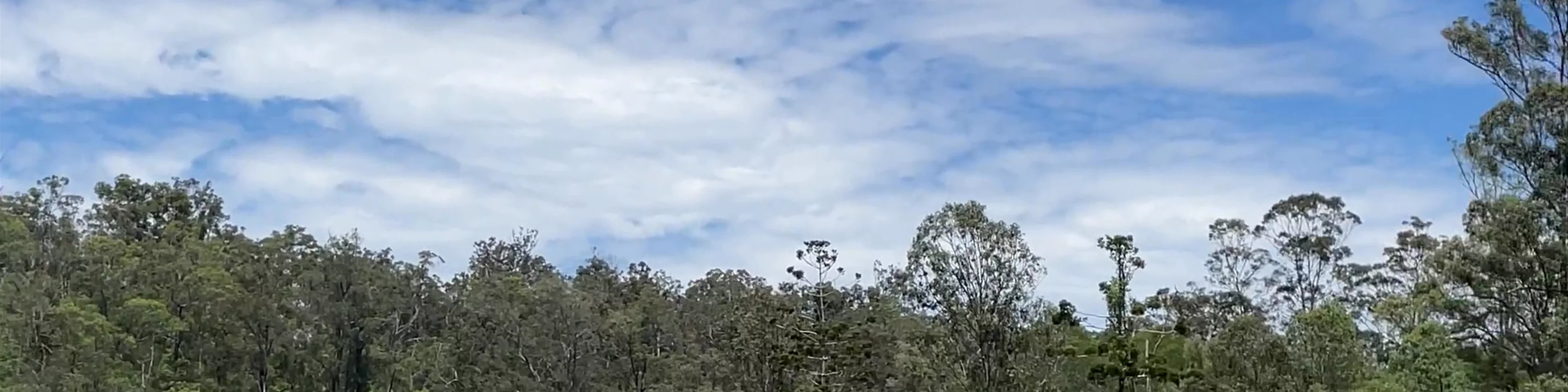 Enoggera Reservoir