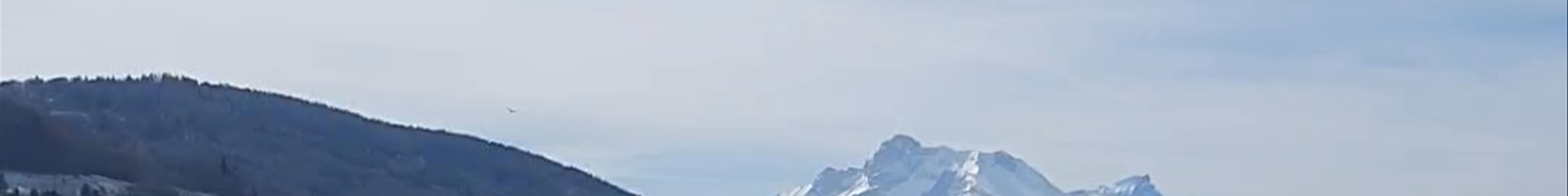 Tours & experiences in Grenoble