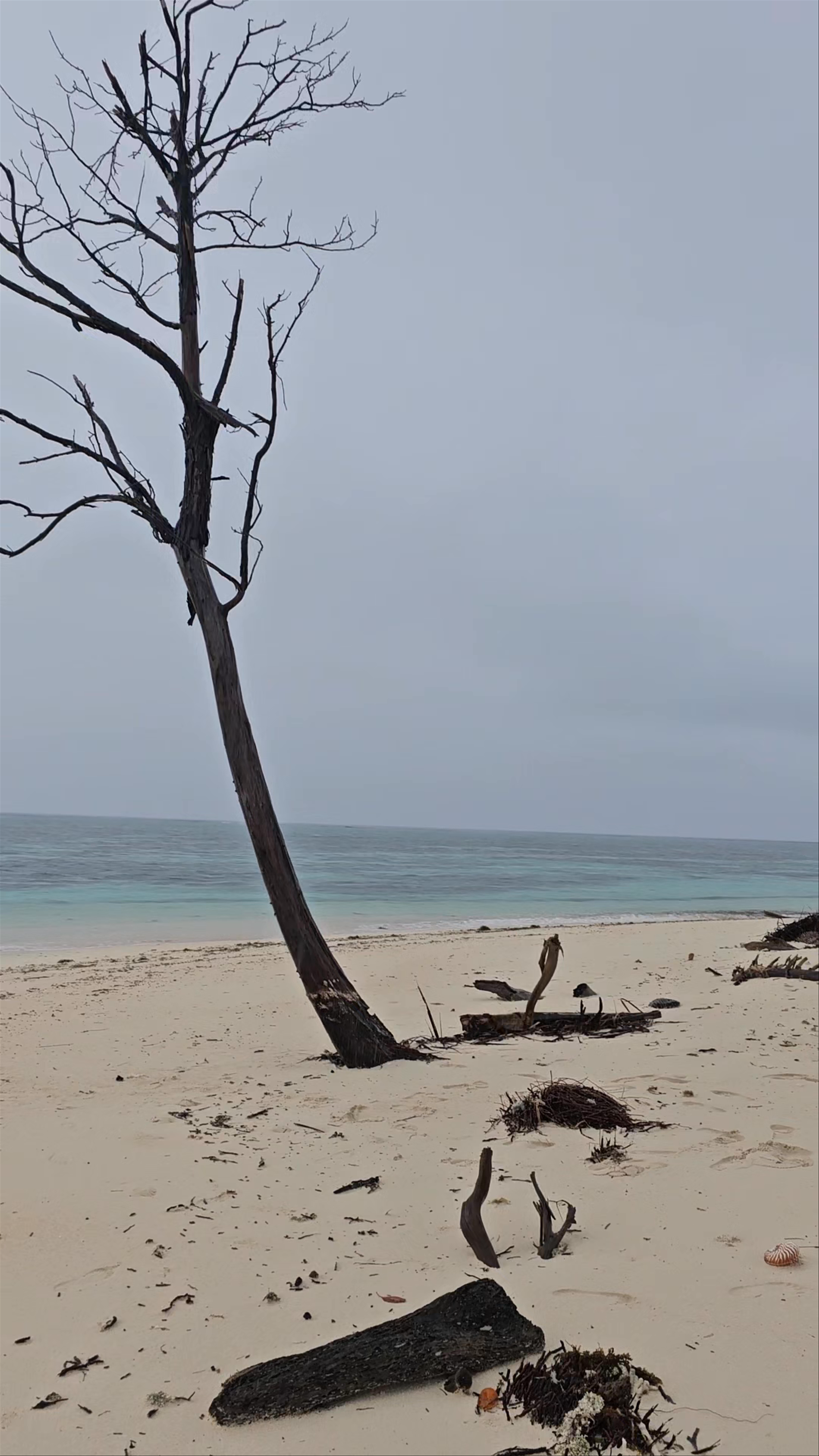 Guyam Island