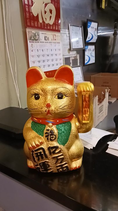 Dragon Star - Chinese Near Me - Mundelein, Illinois
