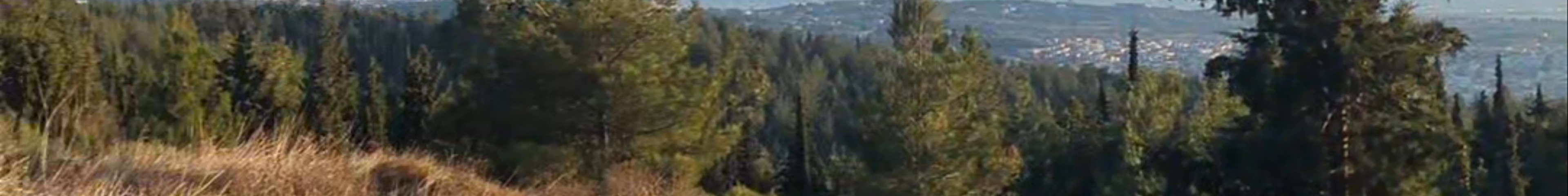 Tours & experiences in Thessaloníki