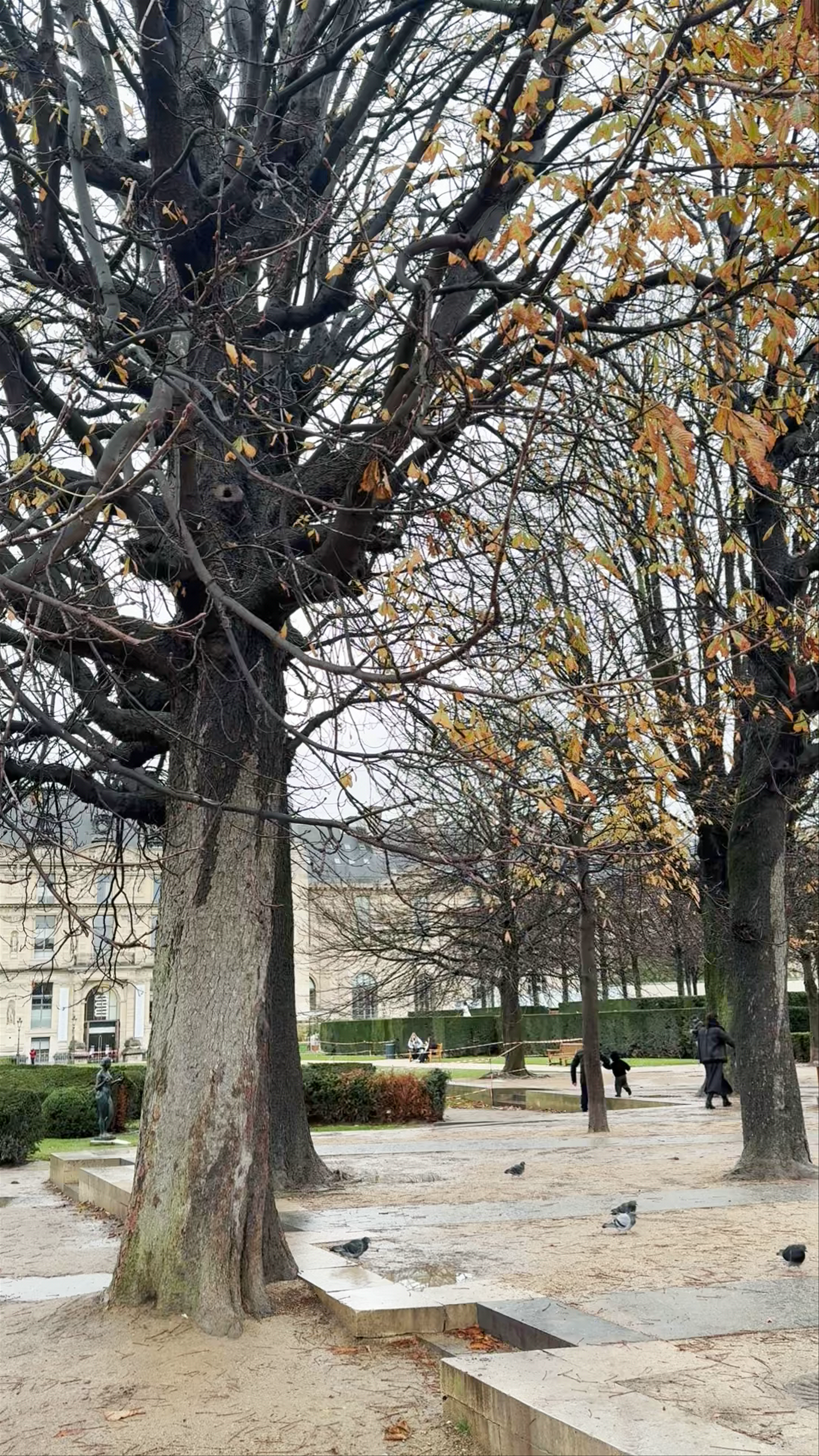 Κήπος του Κεραμεικού