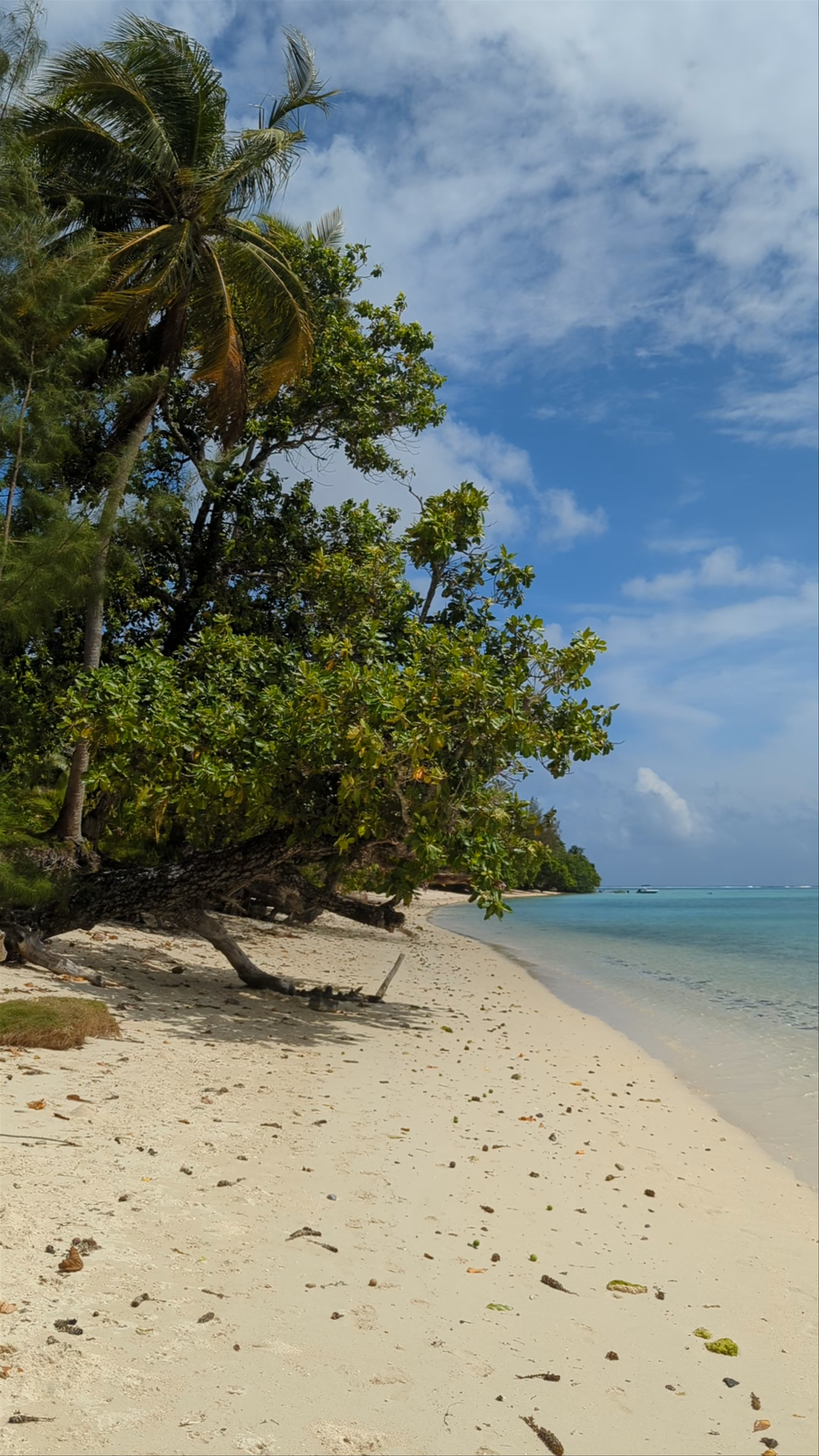 Avea Bay - Avea Beach - Huahine