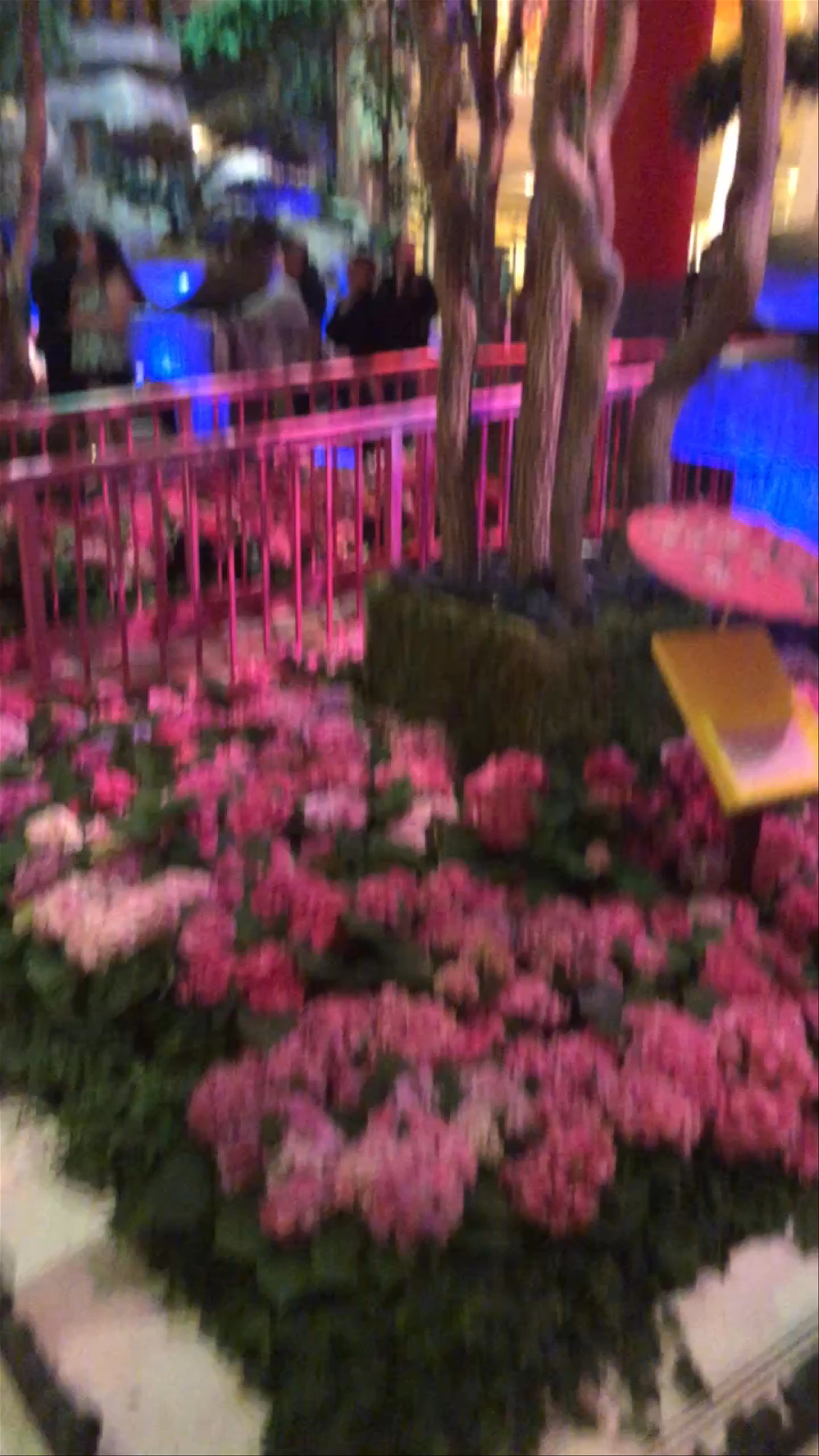 Bellagio Conservatory & Botanical Gardens
