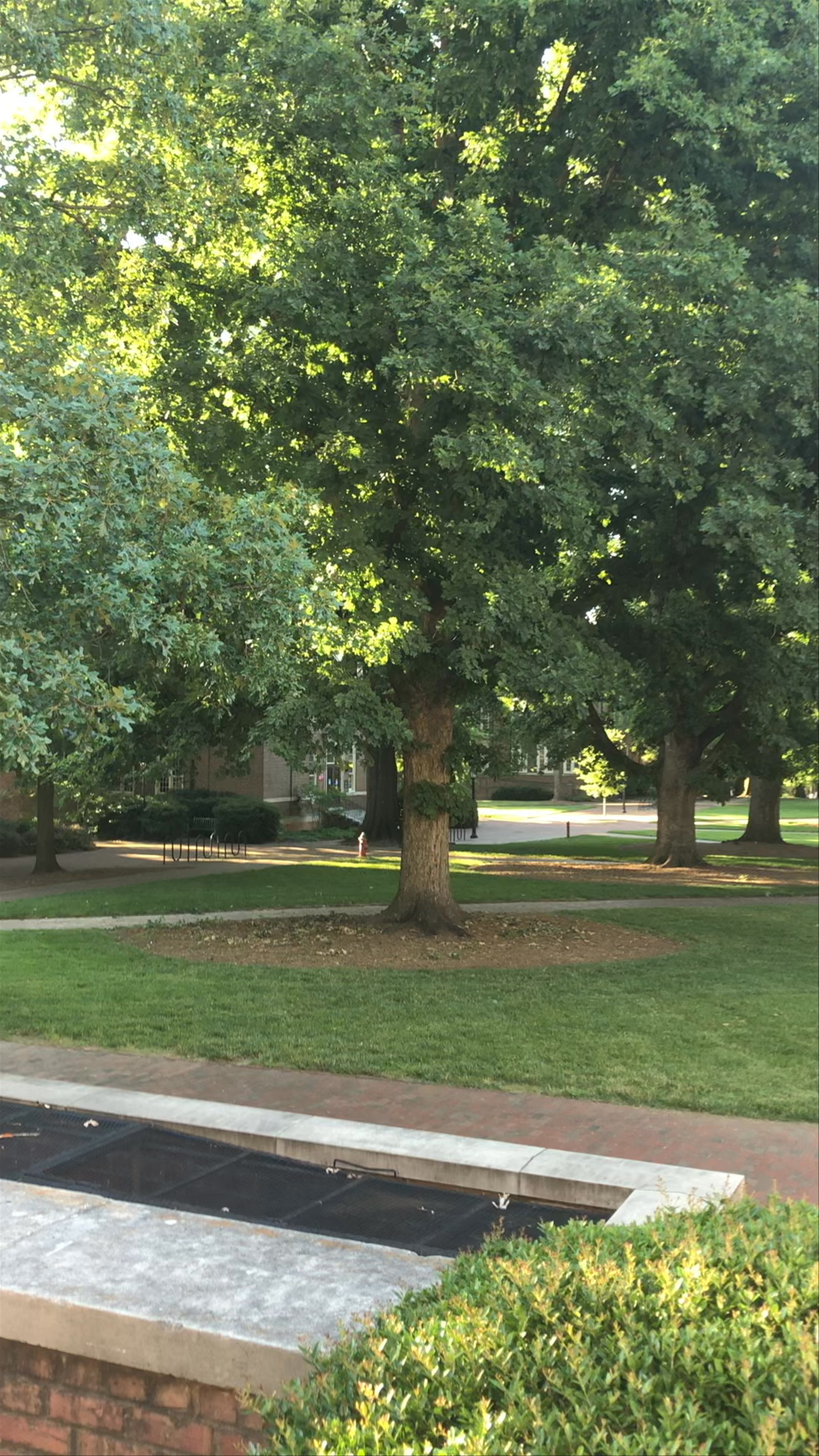 Historic Charm and Campus Serenity at Polk Place, Chapel Hill