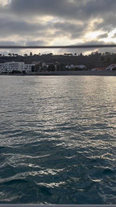 Pacifica Sailing Charters - Amazing sunset sail with Pacifica and Captain Mike! Seeing dolphins at sunset was the perfect highlight. Highly recommend! - Boat Charters Near Me - San Diego, California