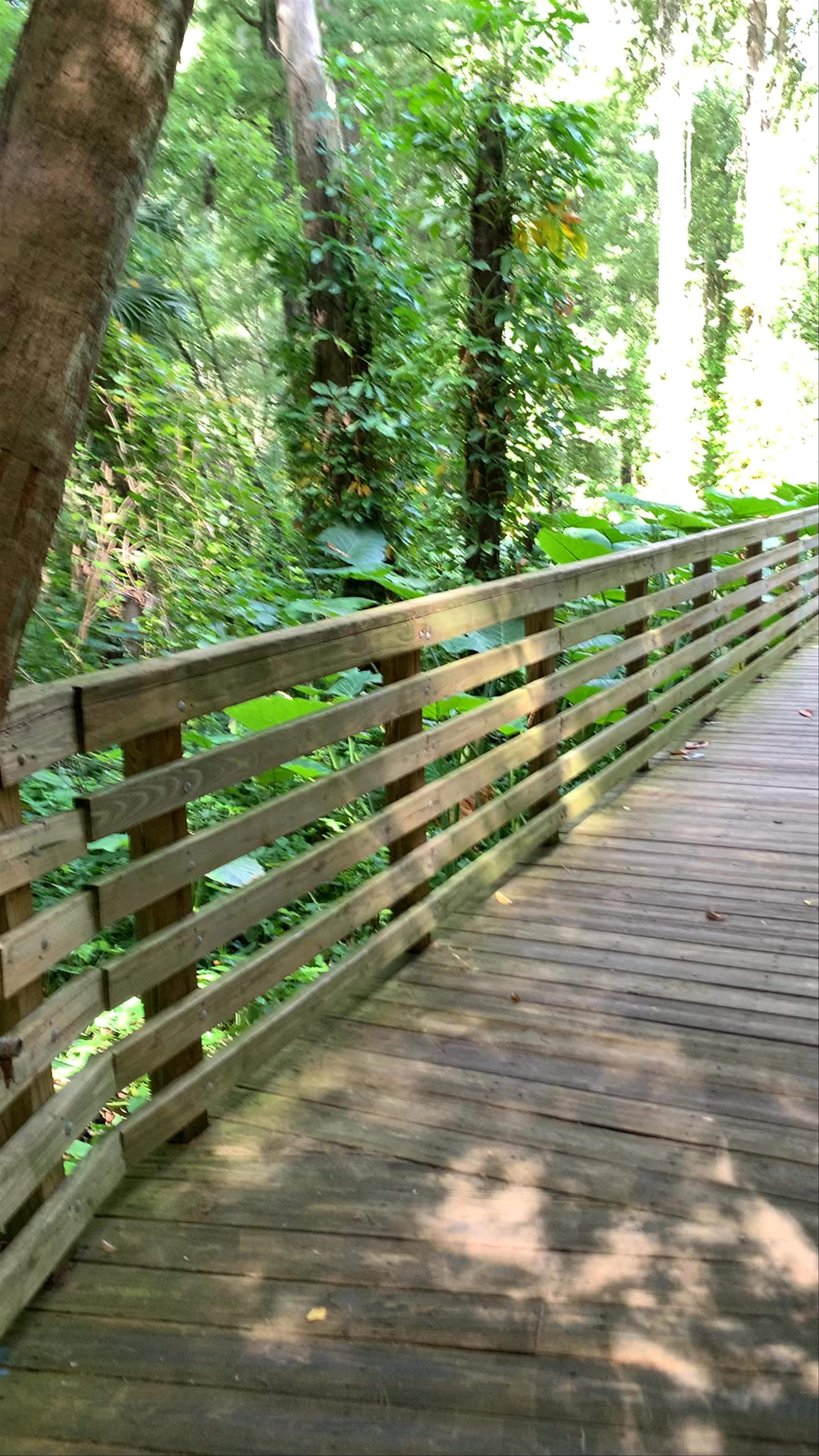 Eureka Springs Park, Eureka Springs Road, Tampa, FL, USA