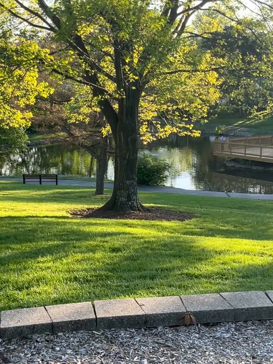 New Ballwin Park - Video of park including pond, trail, and playground - Parks Near Me - Ballwin, Missouri