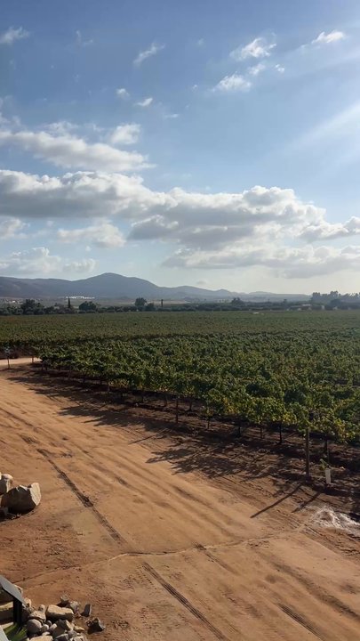 Monte Xanic - Wine Bars Near Me - Ensenada, BCN