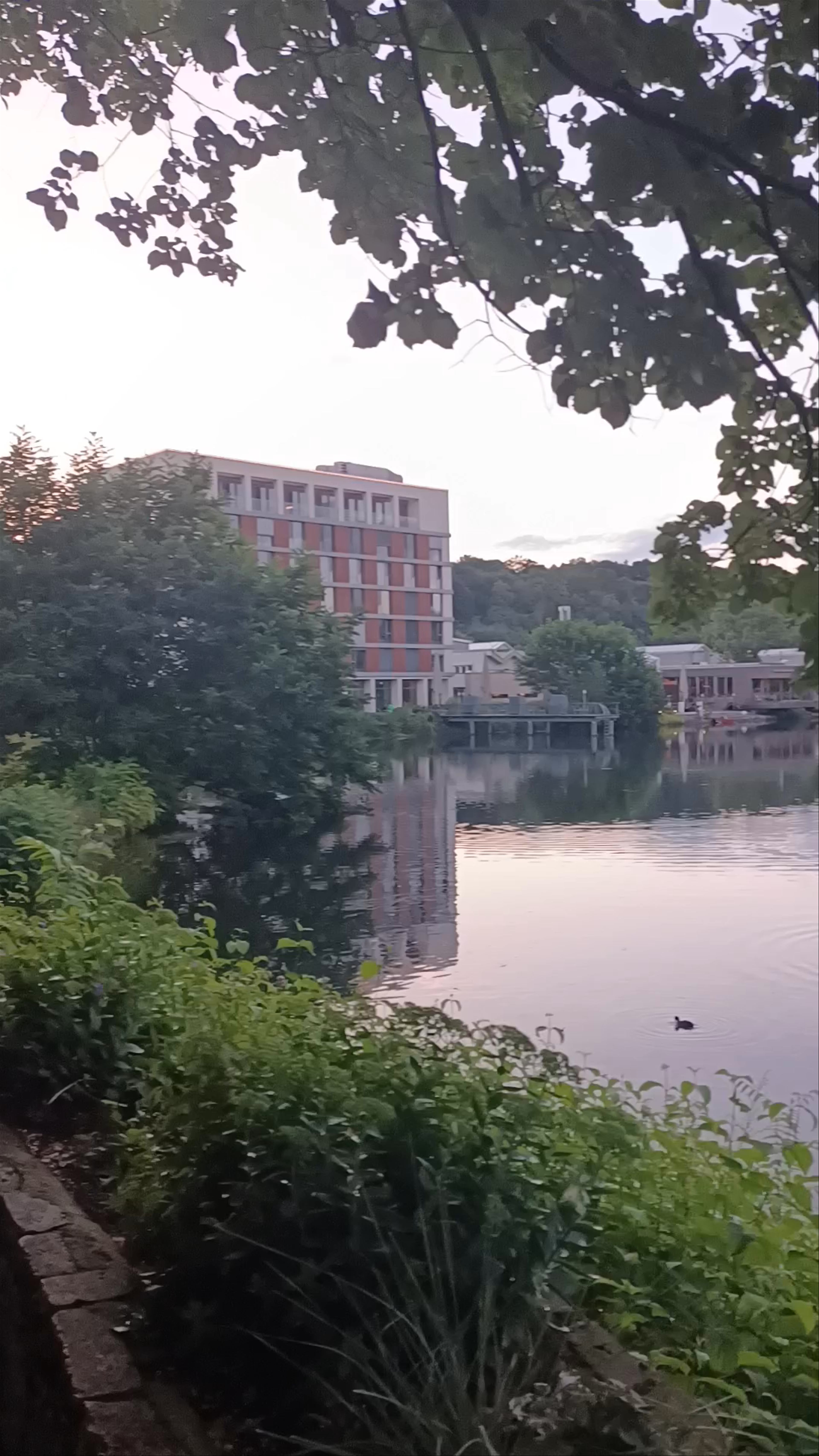 Evening Serenity at Friedrichsau Park, Ulm