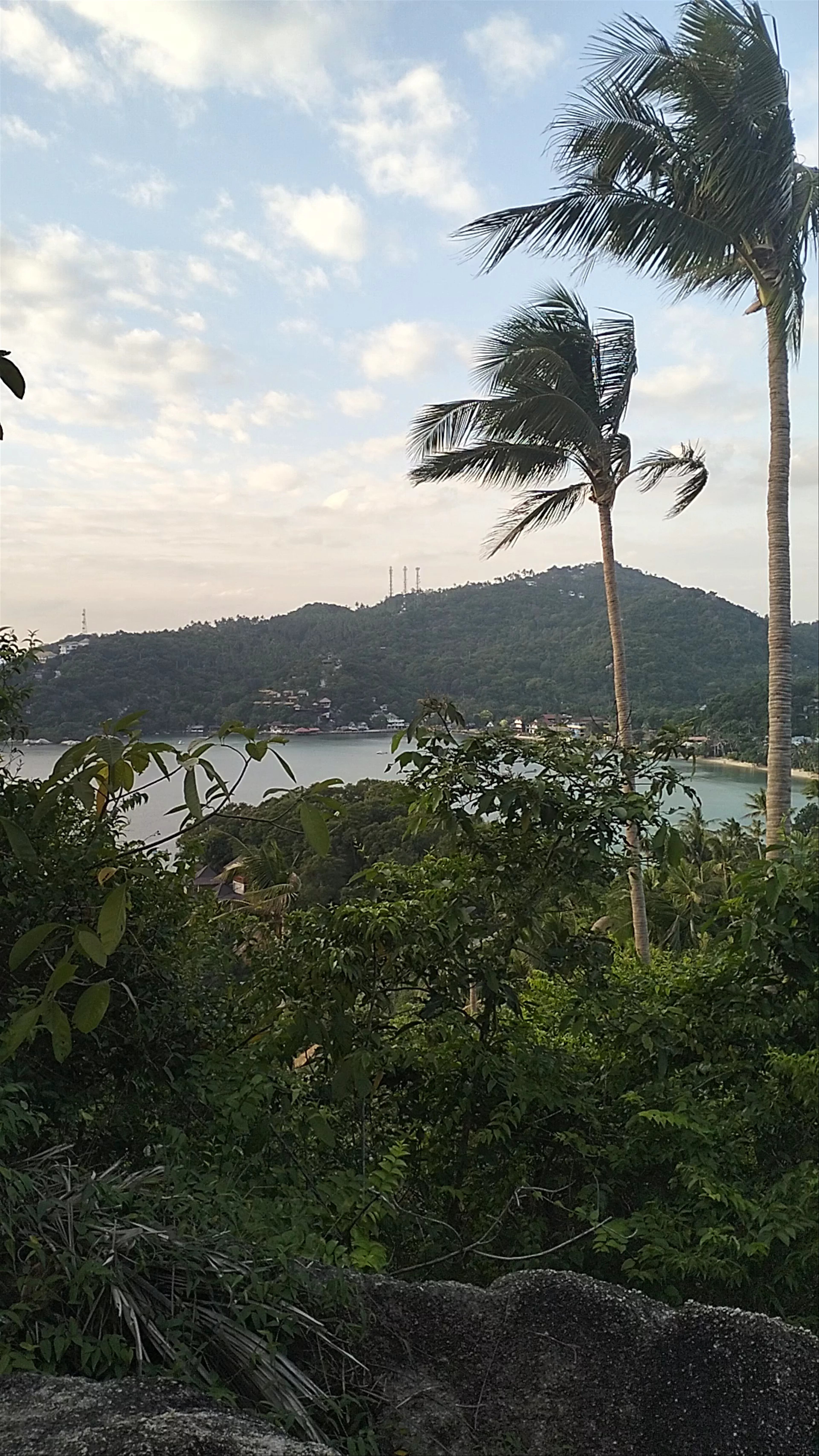 John-Suwan Viewpoint