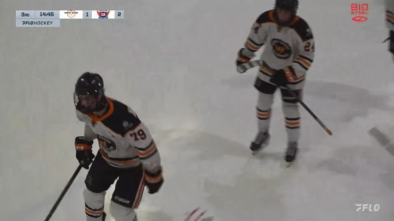 Noah Eade's U17 AAA Highlights: Goals, Assists & Hits #79