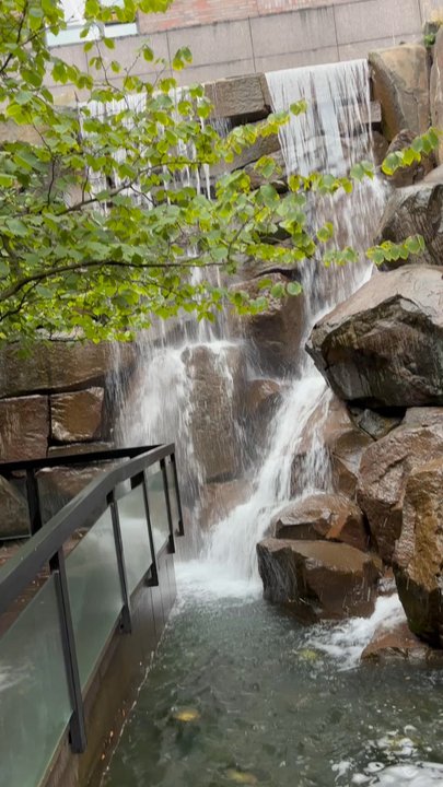 Waterfall Garden - Parks Near Me - Seattle, Washington