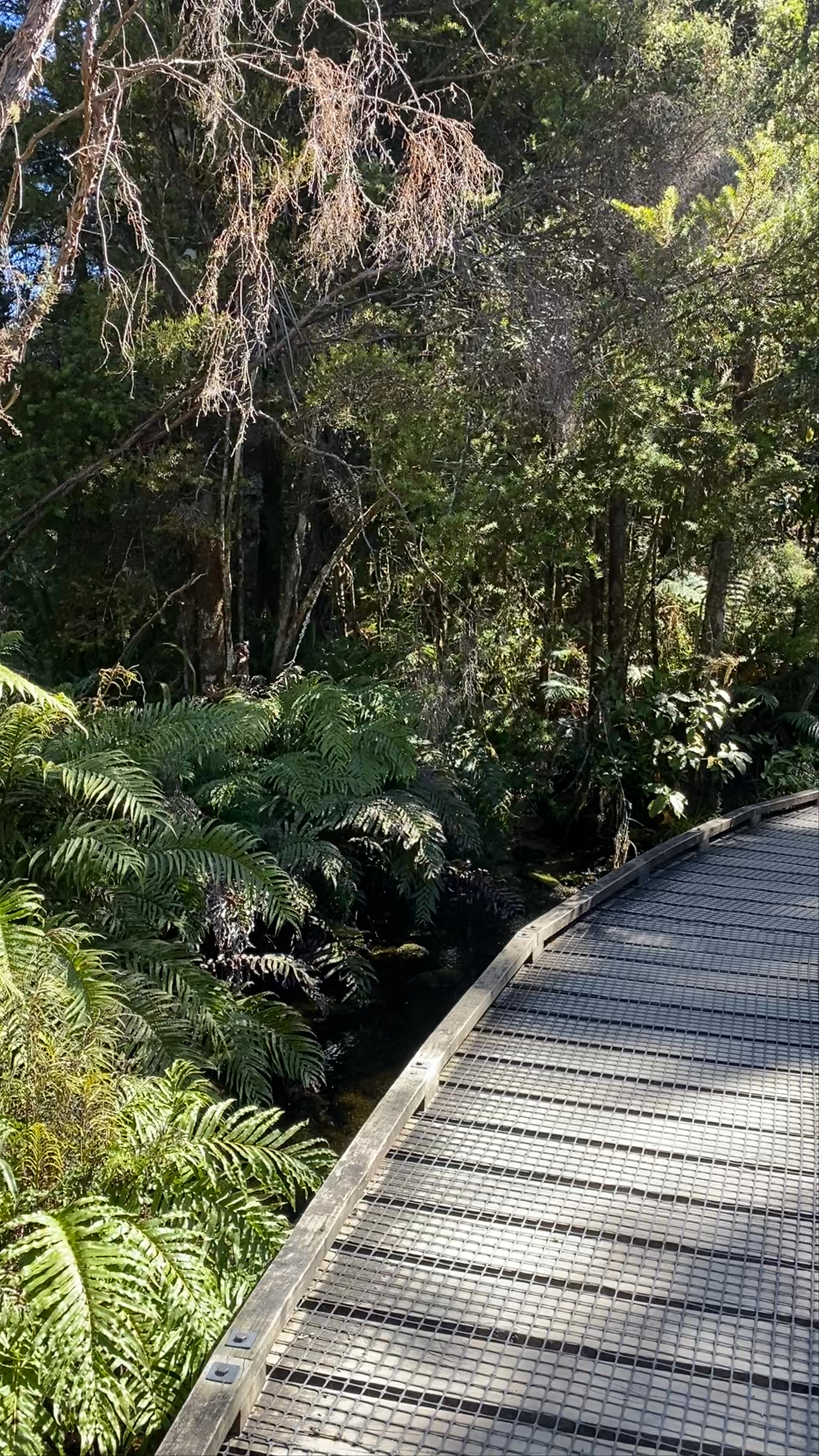 Te Waikoropupu Springs Pupu Springs Road