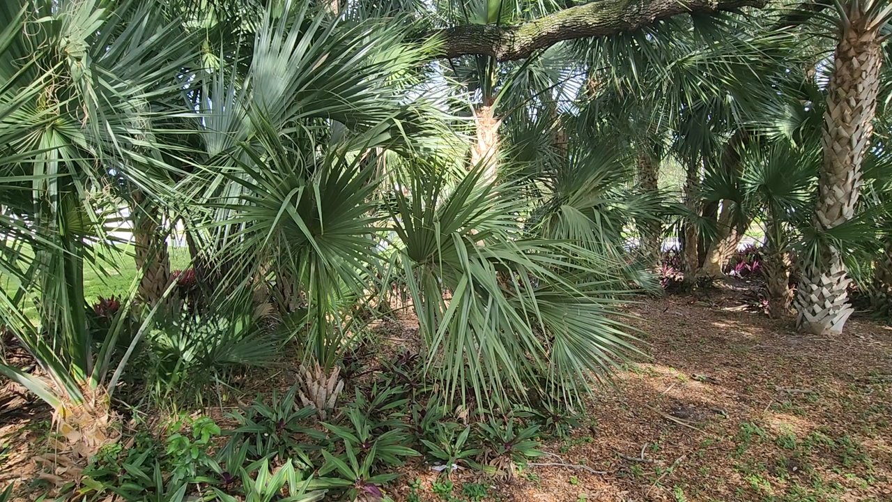 El Rio Trail - Parks Near Me - Boca Raton, Florida