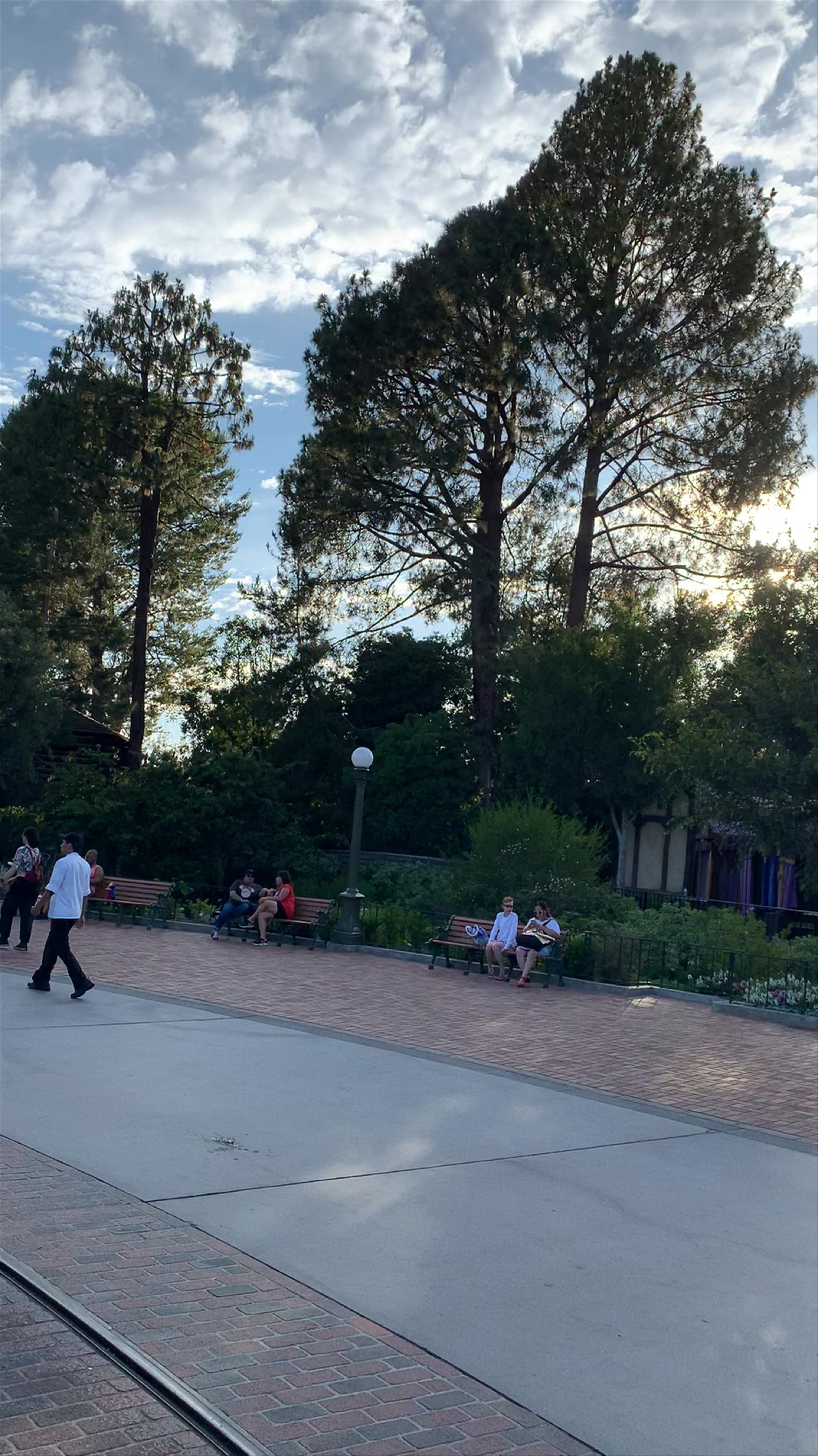 Magical Afternoon at Disneyland Park, Anaheim