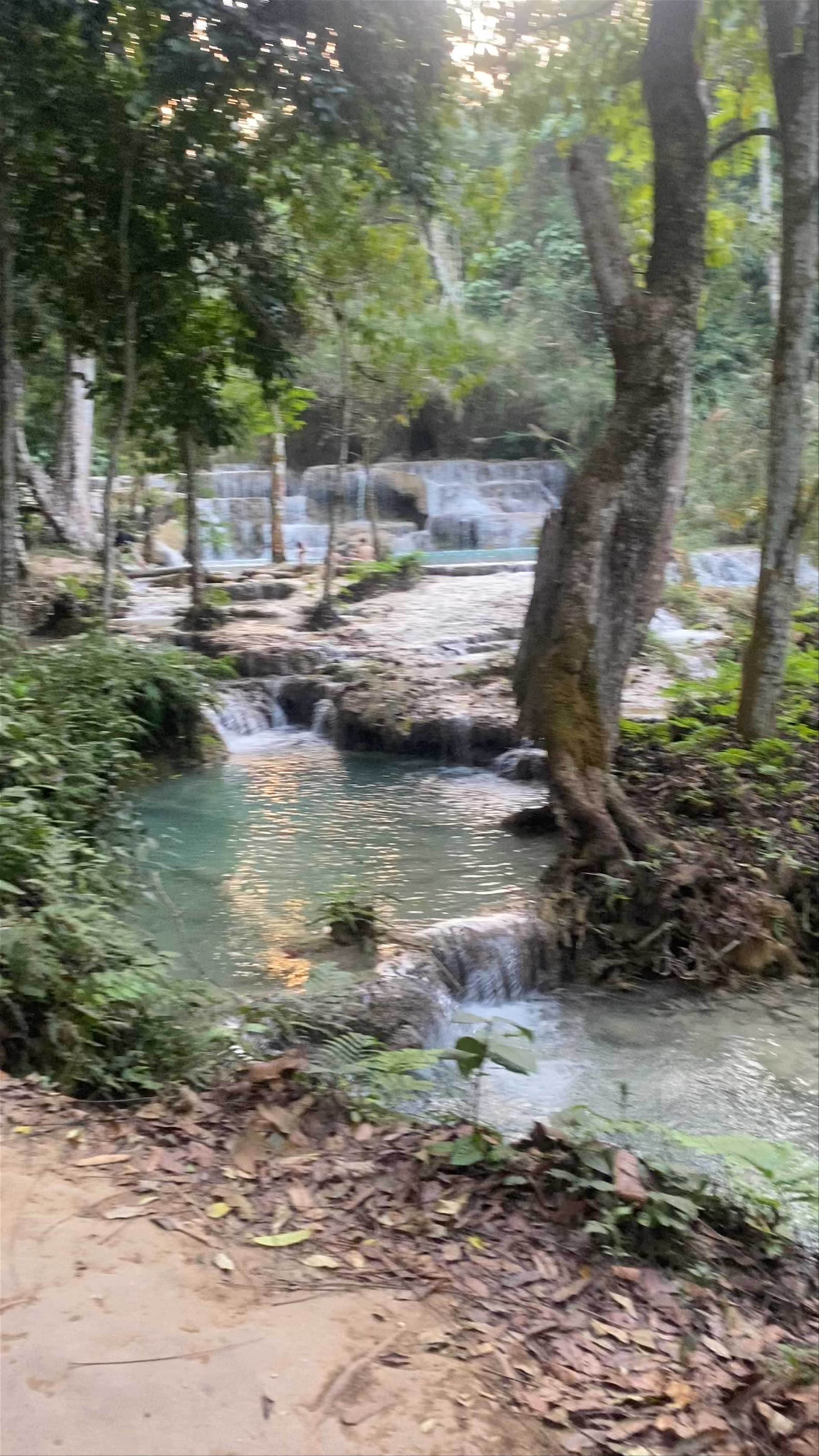 Kuang Si Waterfall: Serene Beauty in Luang Prabang