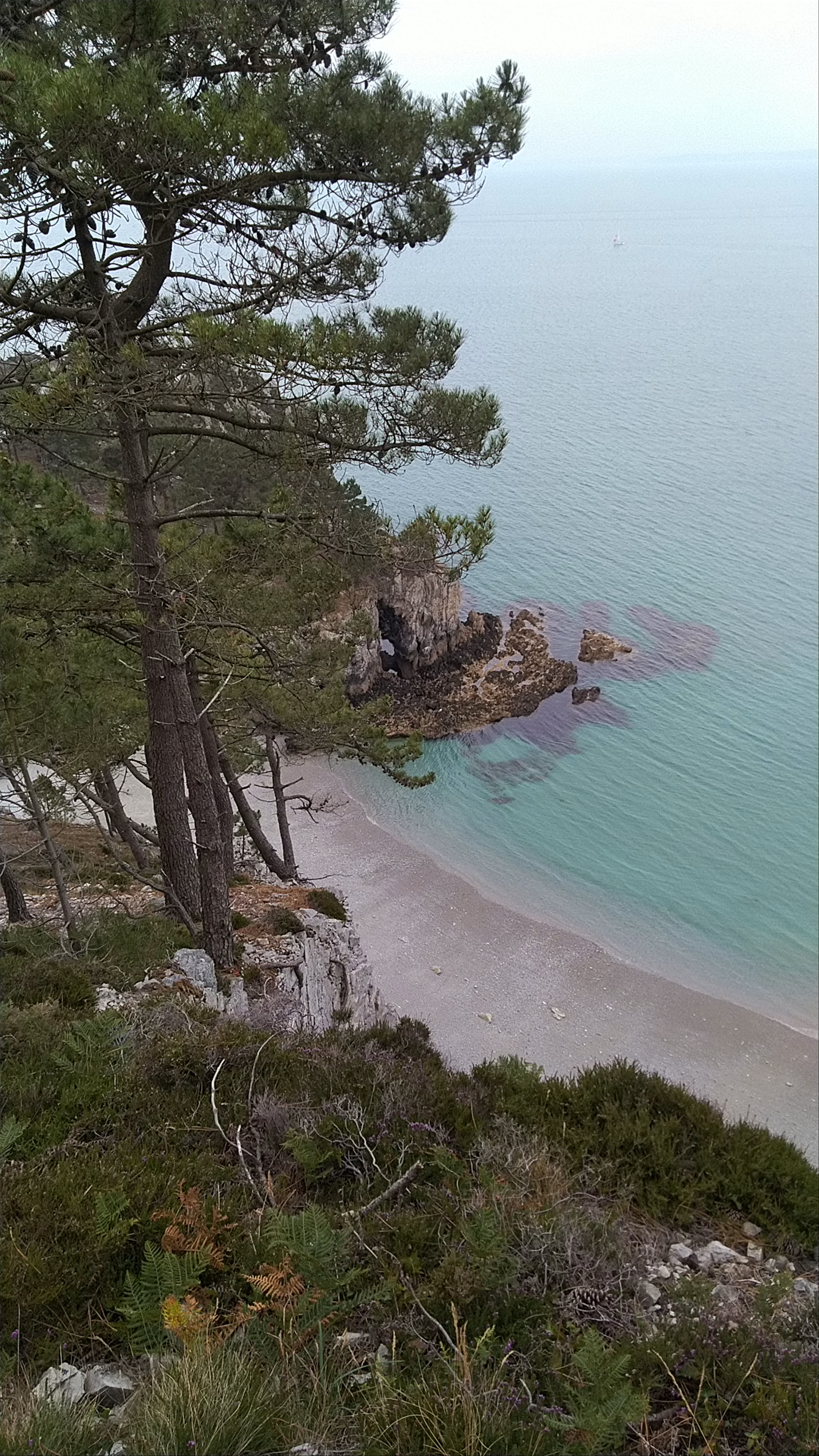 Virgin Island's Beach