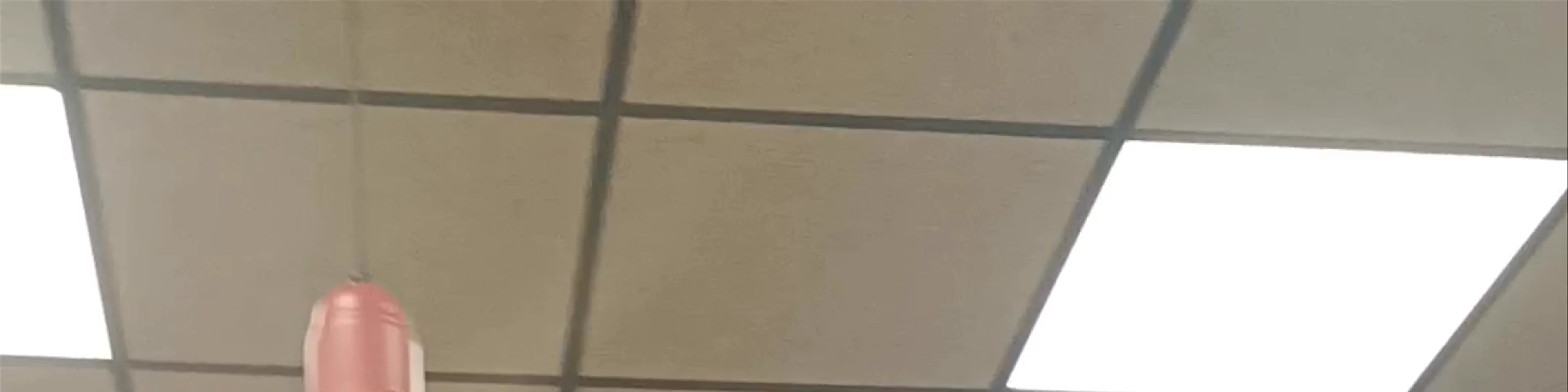 Pizzería Pinocho