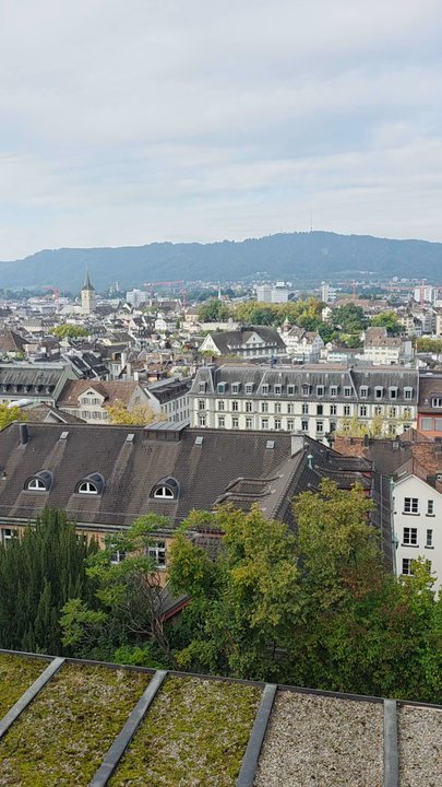 Polyterrasse - A view of Zurich from the Polyterrasse on Sunday with church bells ringing - Local Flavor Near Me - Zürich, ZH