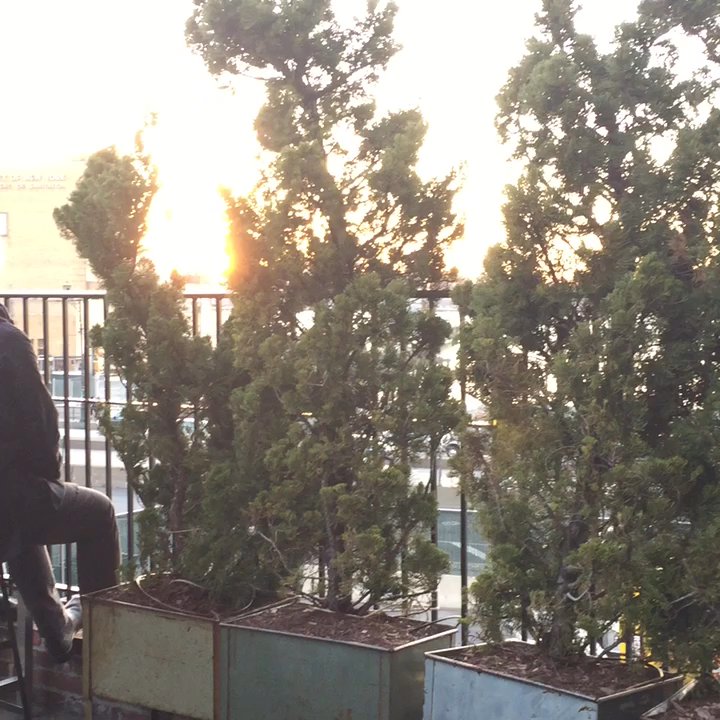 Brass Monkey - Rooftop - Bars Near Me - New York, New York