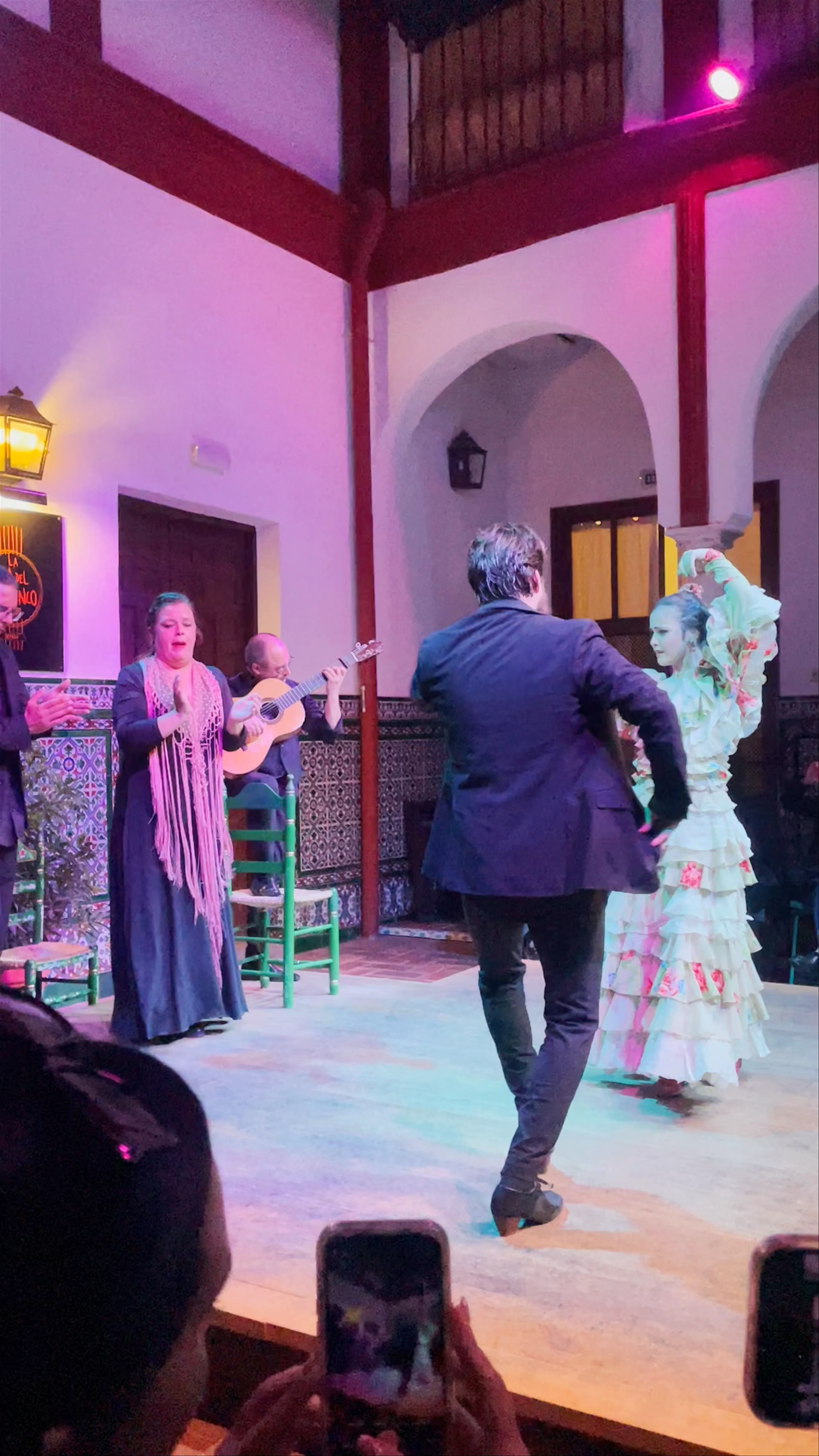 La Casa del Flamenco - Auditorio Alcántara