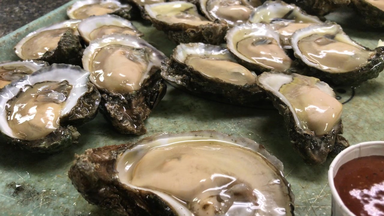 Review video 1 of 1 for Shell Oyster Bar