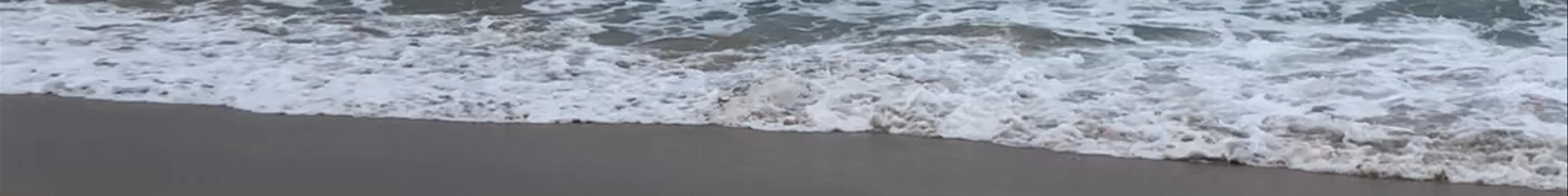 Tours & experiences in Mollymook Beach