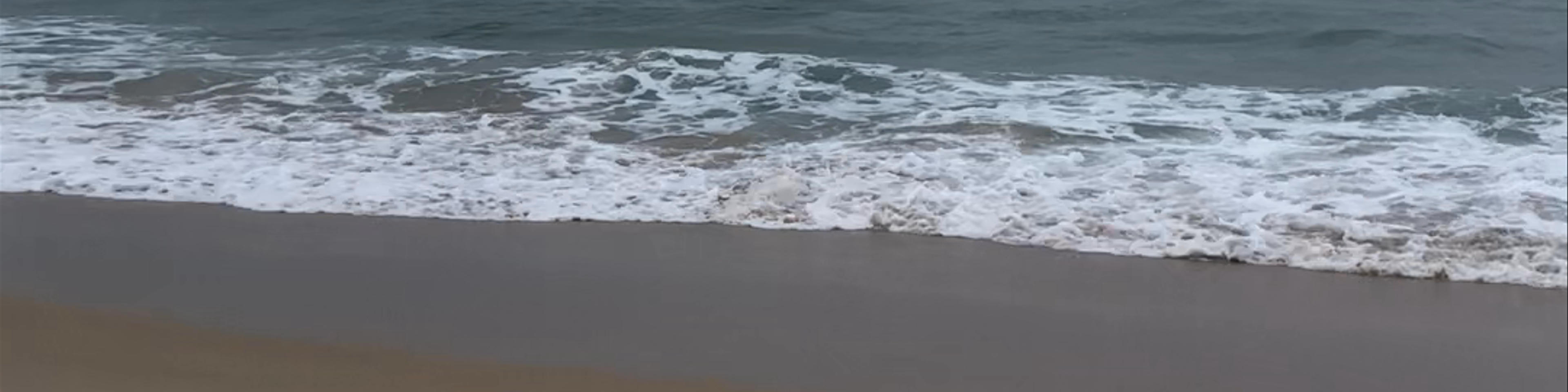 Mollymook Beach