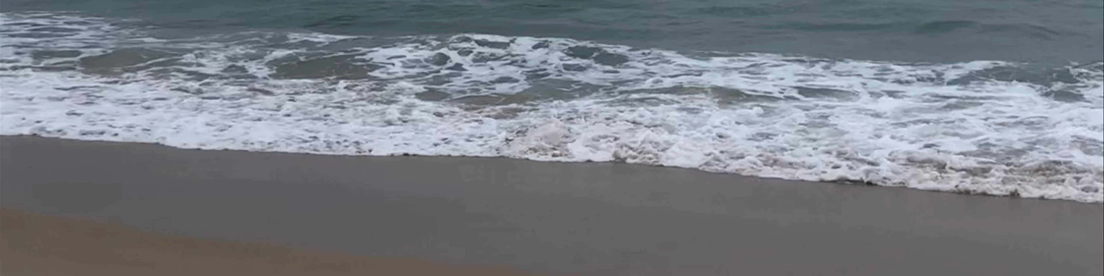Mollymook Beach