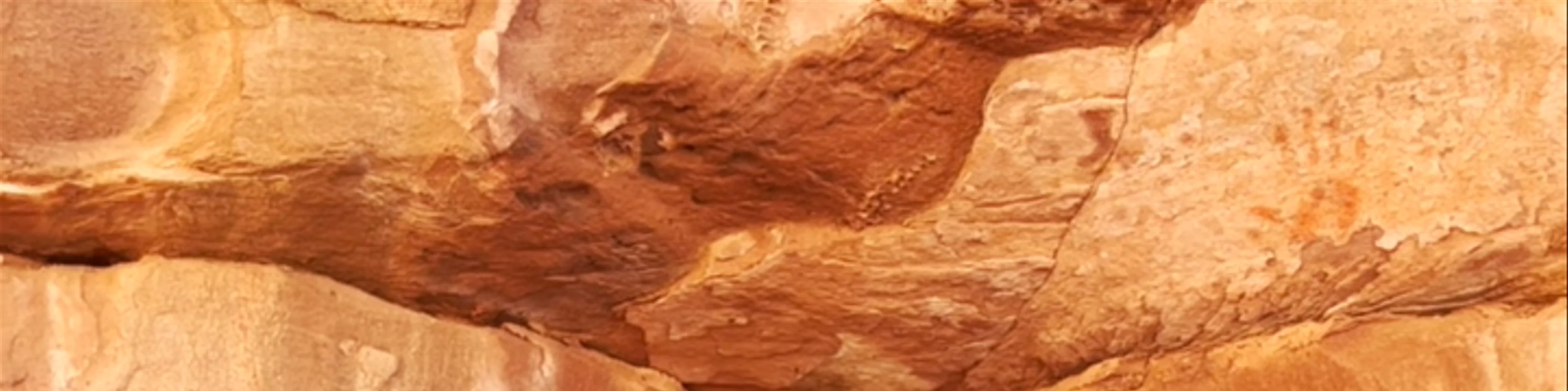 Wadi Rum Desert Camp and Jeep Tour