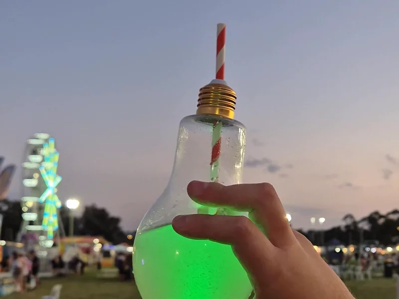 Viral Food Festival