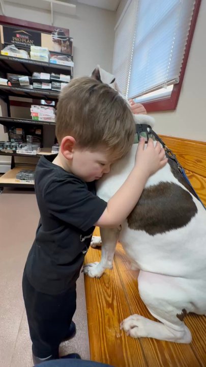 Foxfield Veterinary Services - Nervous pup - Veterinarians Near Me - Downingtown, Pennsylvania