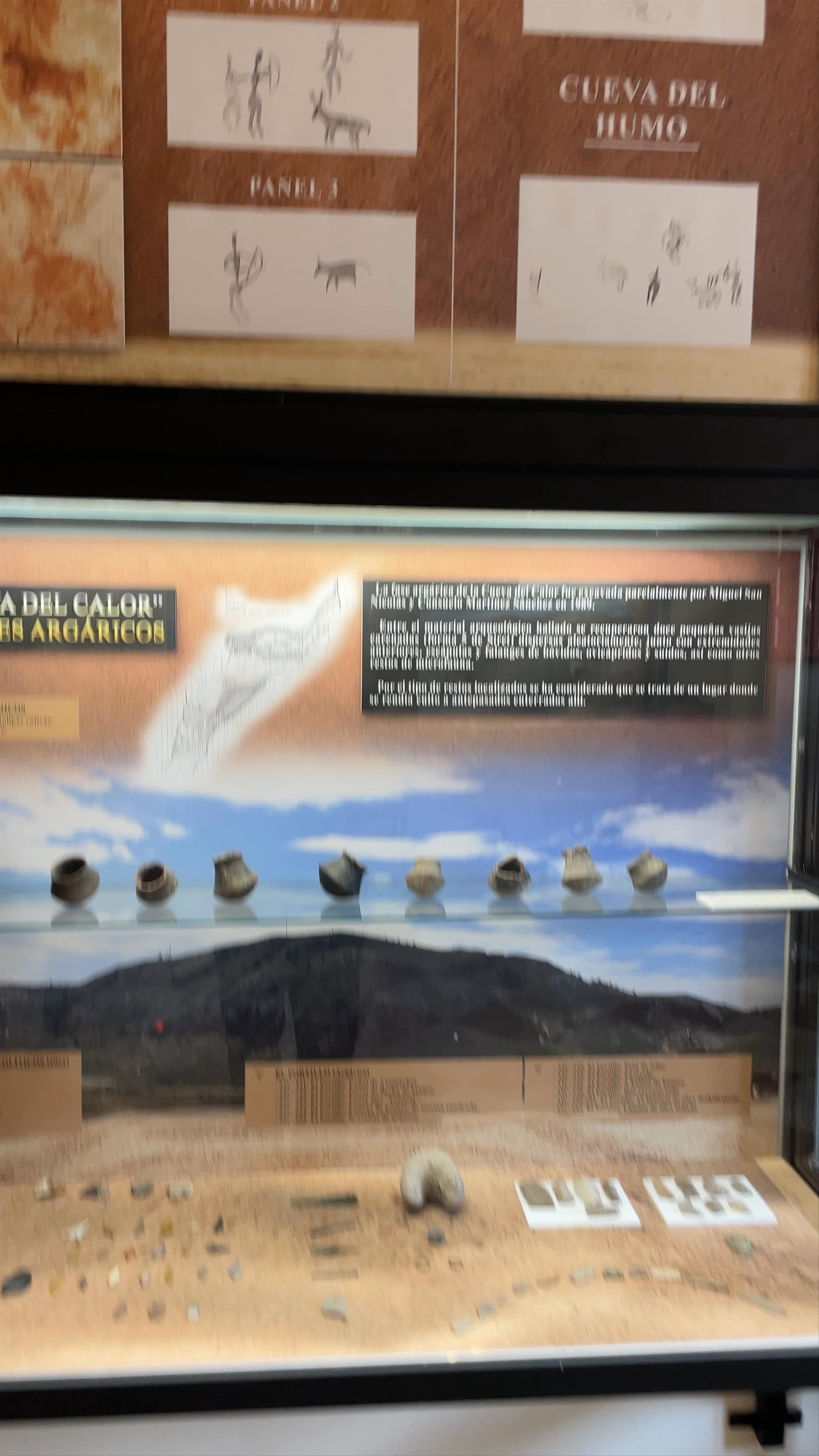 Museo Arqueológico in Cehegín: Ancient Treasures of Región de Murcia
