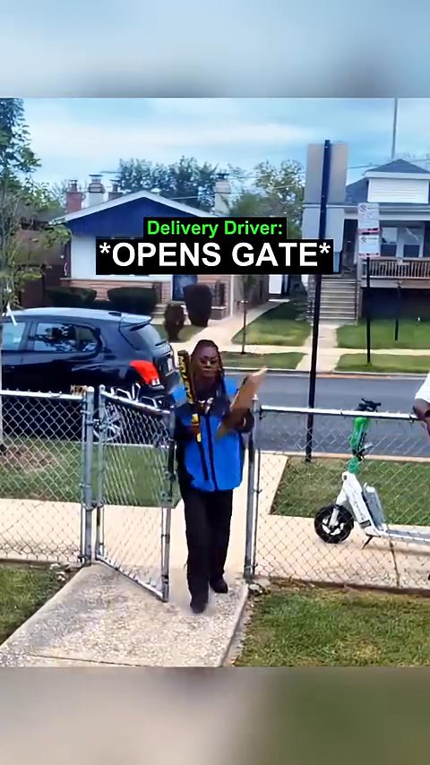 Porch Pirate