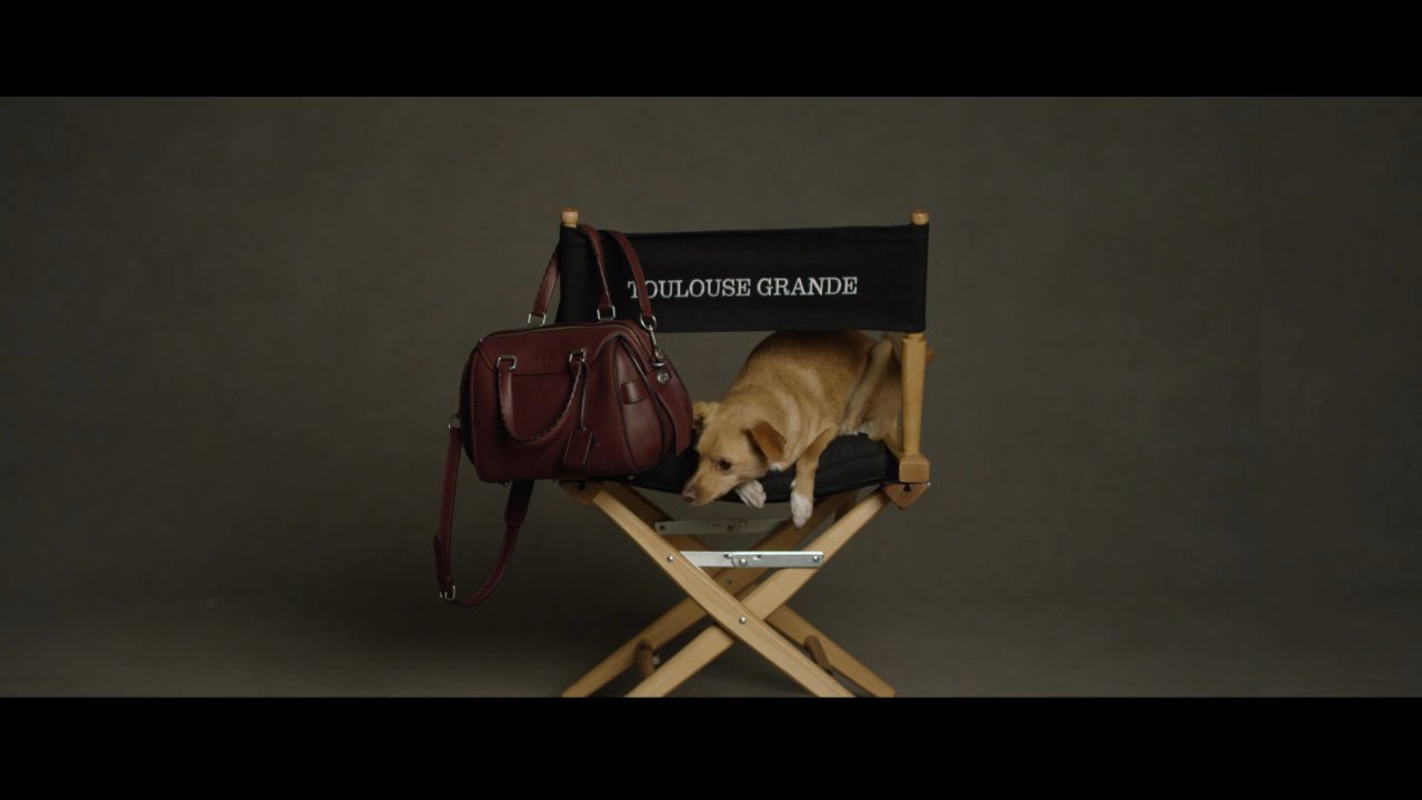 Coach “Coachpups: Miss Asia Kinney”