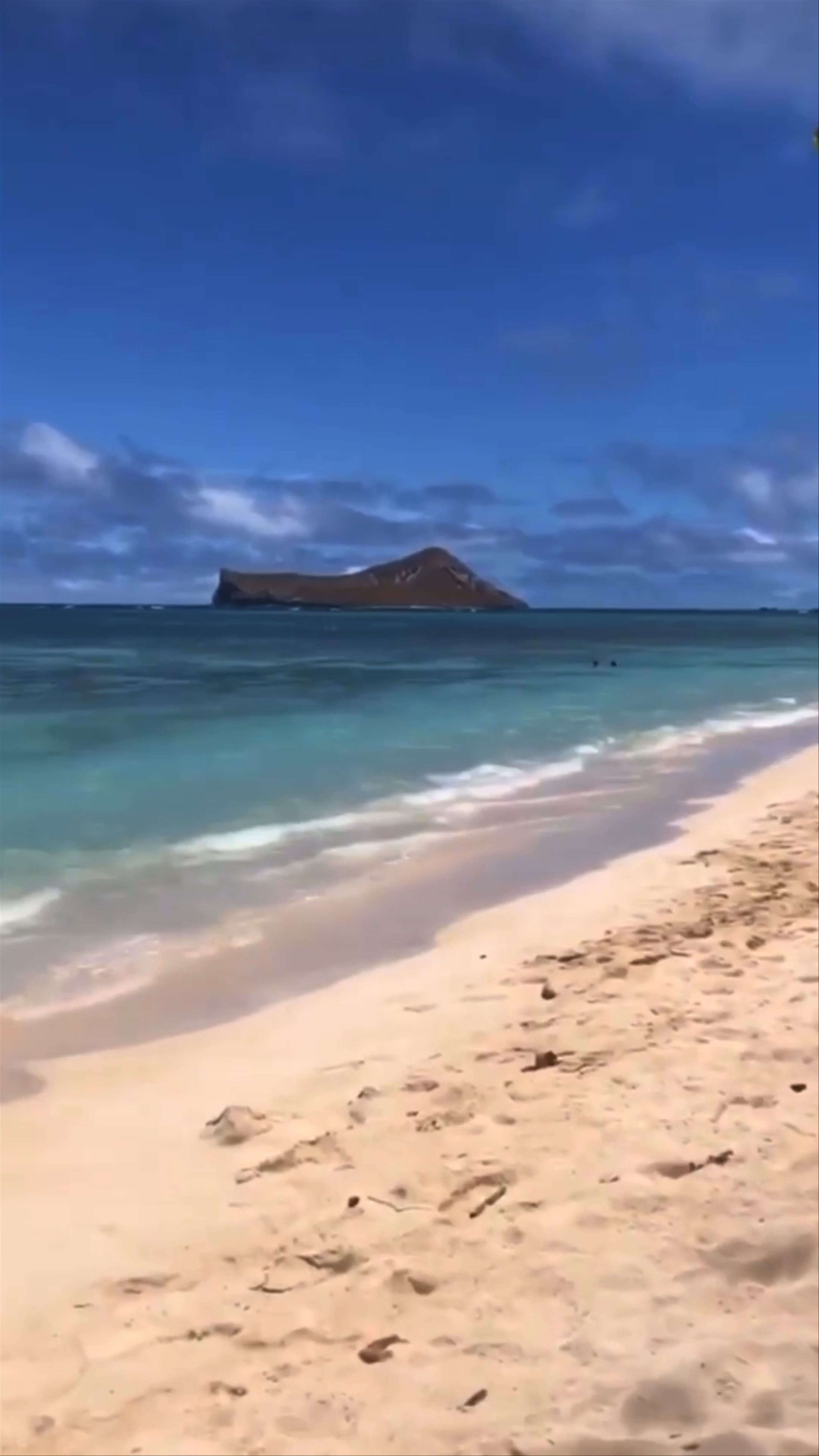 Catamaran Sunset Cruise