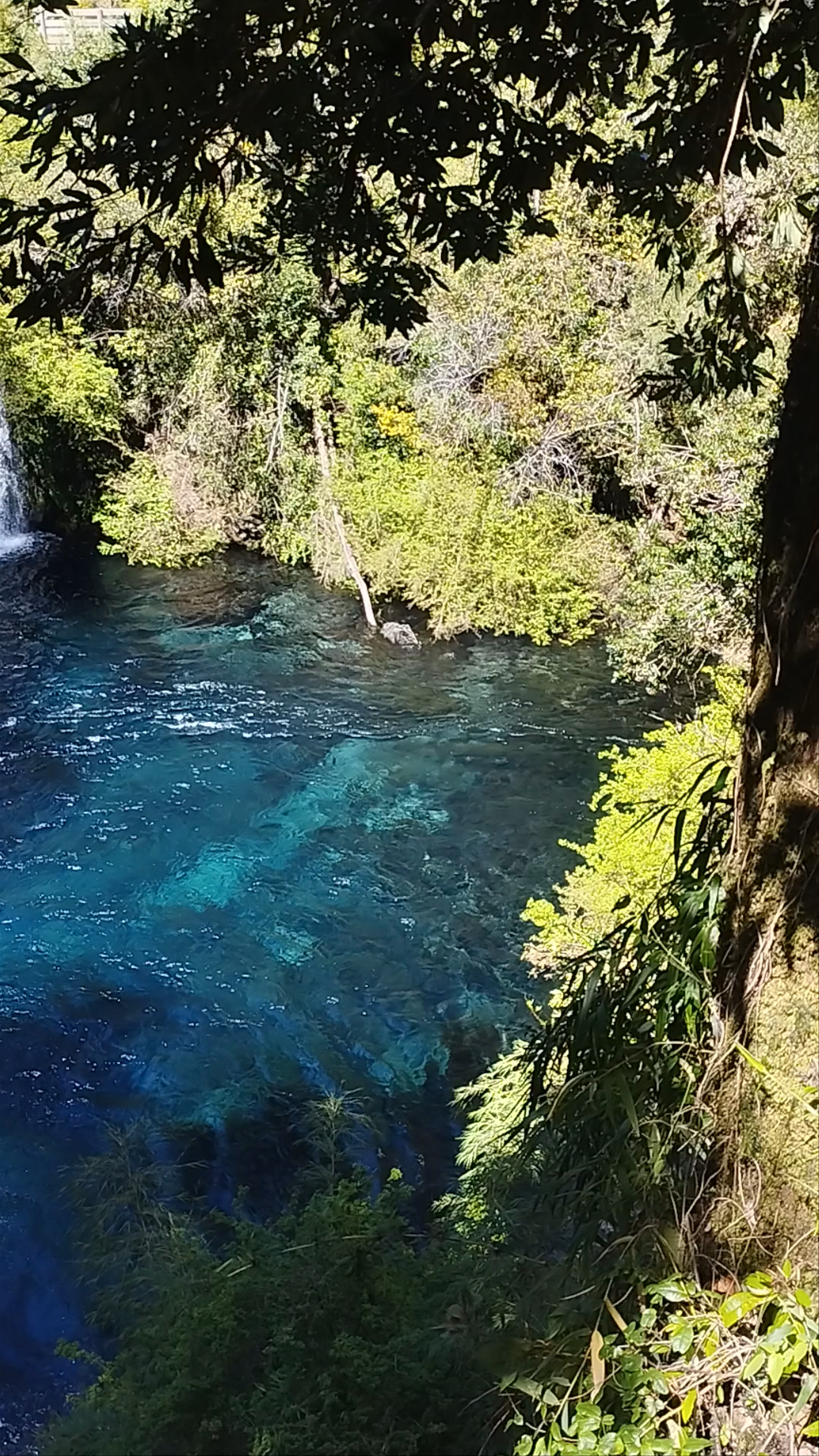 Parque Ojos del Caburgua