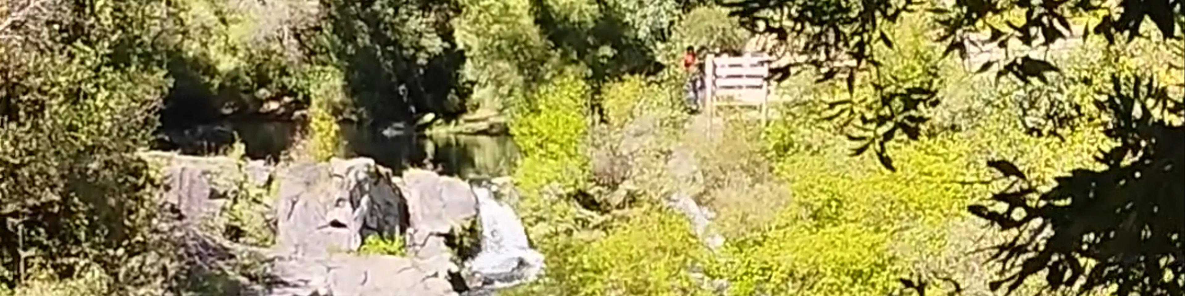 Parque Ojos del Caburgua