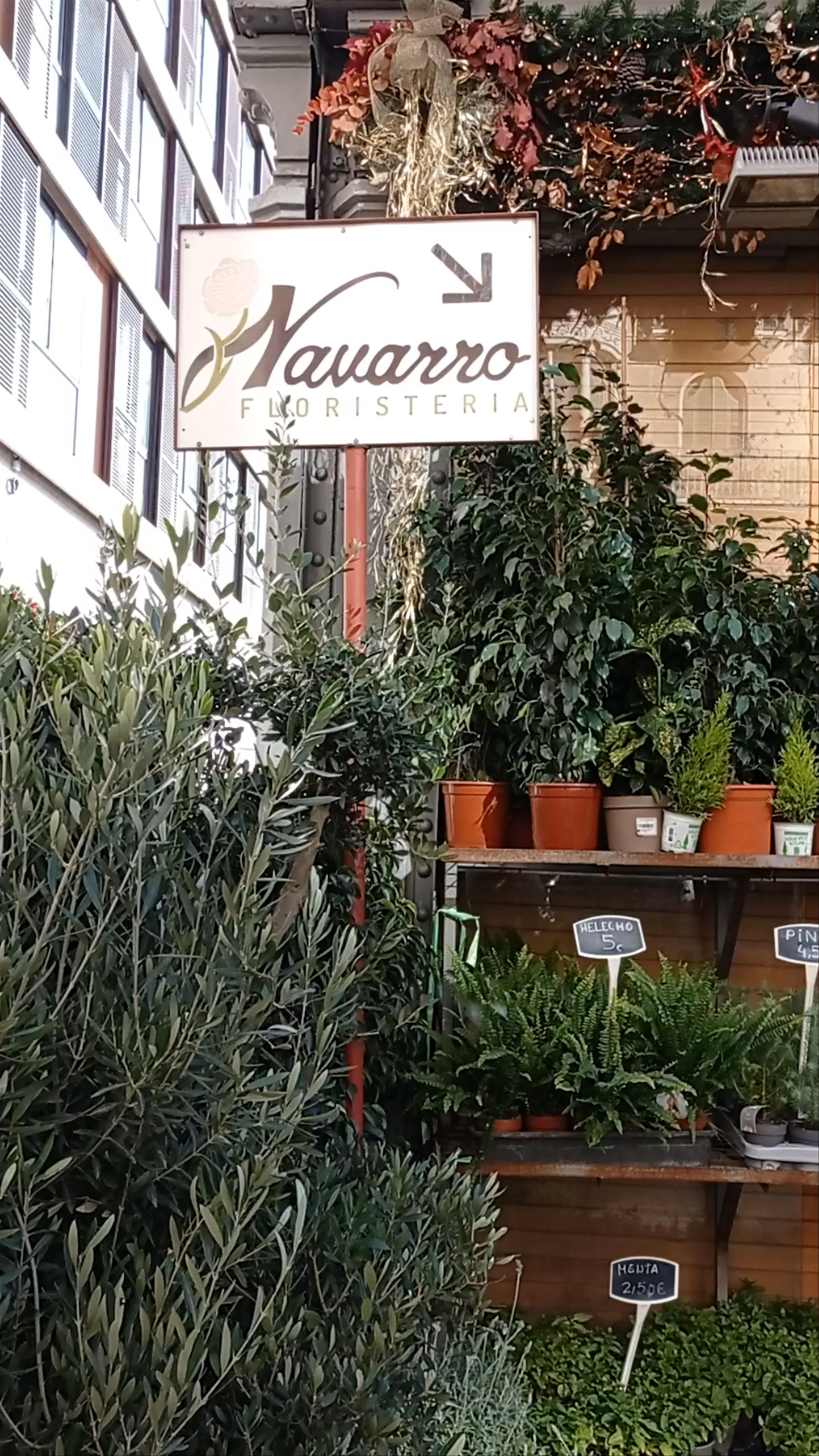 Navarro Floristeria: A Blooming Oasis in Barcelona