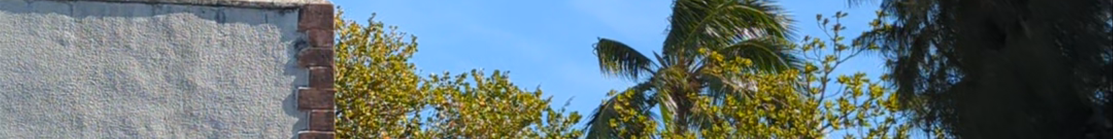 Tours & experiences in French Polynesia