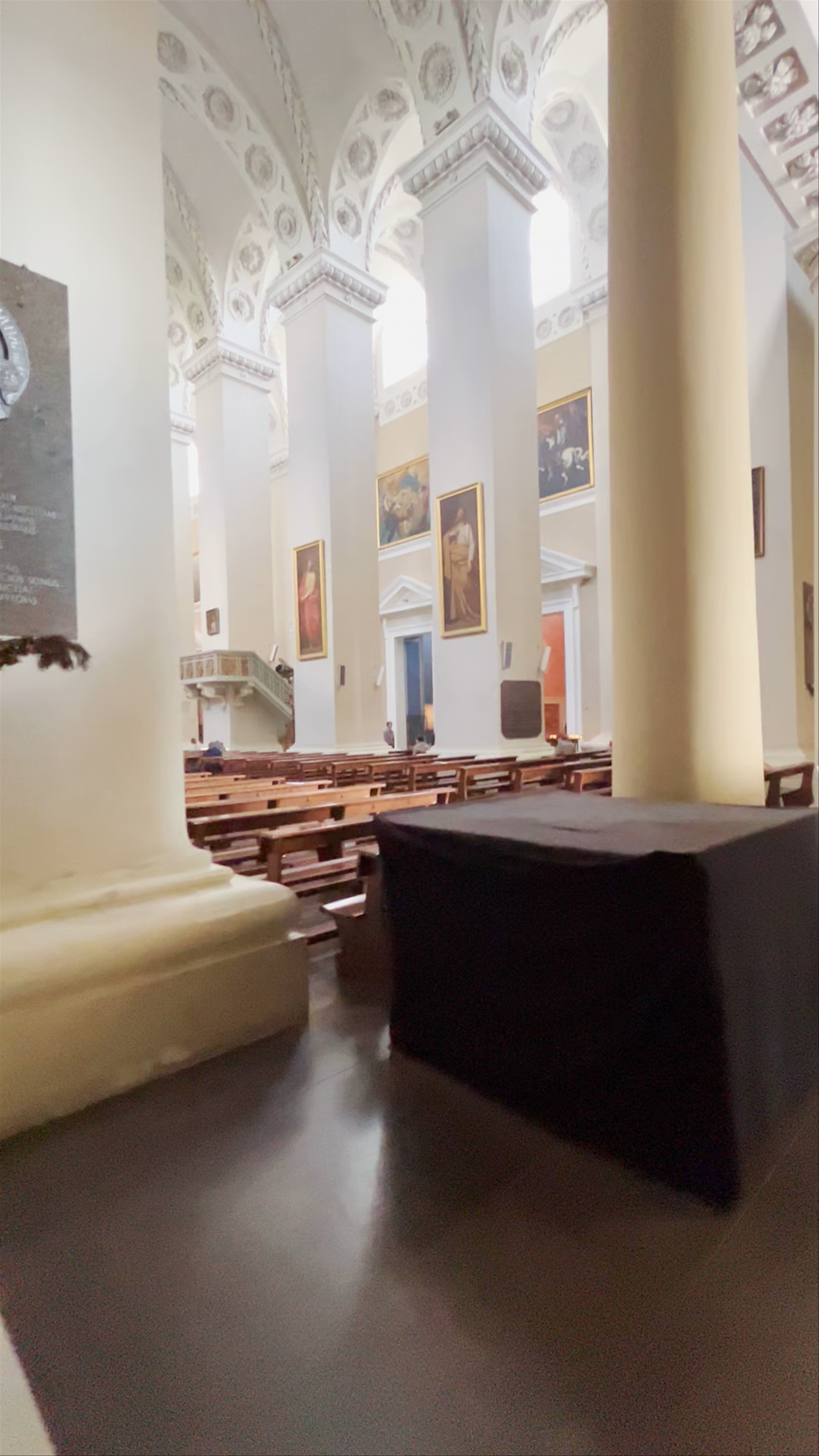 Vilnius Cathedral