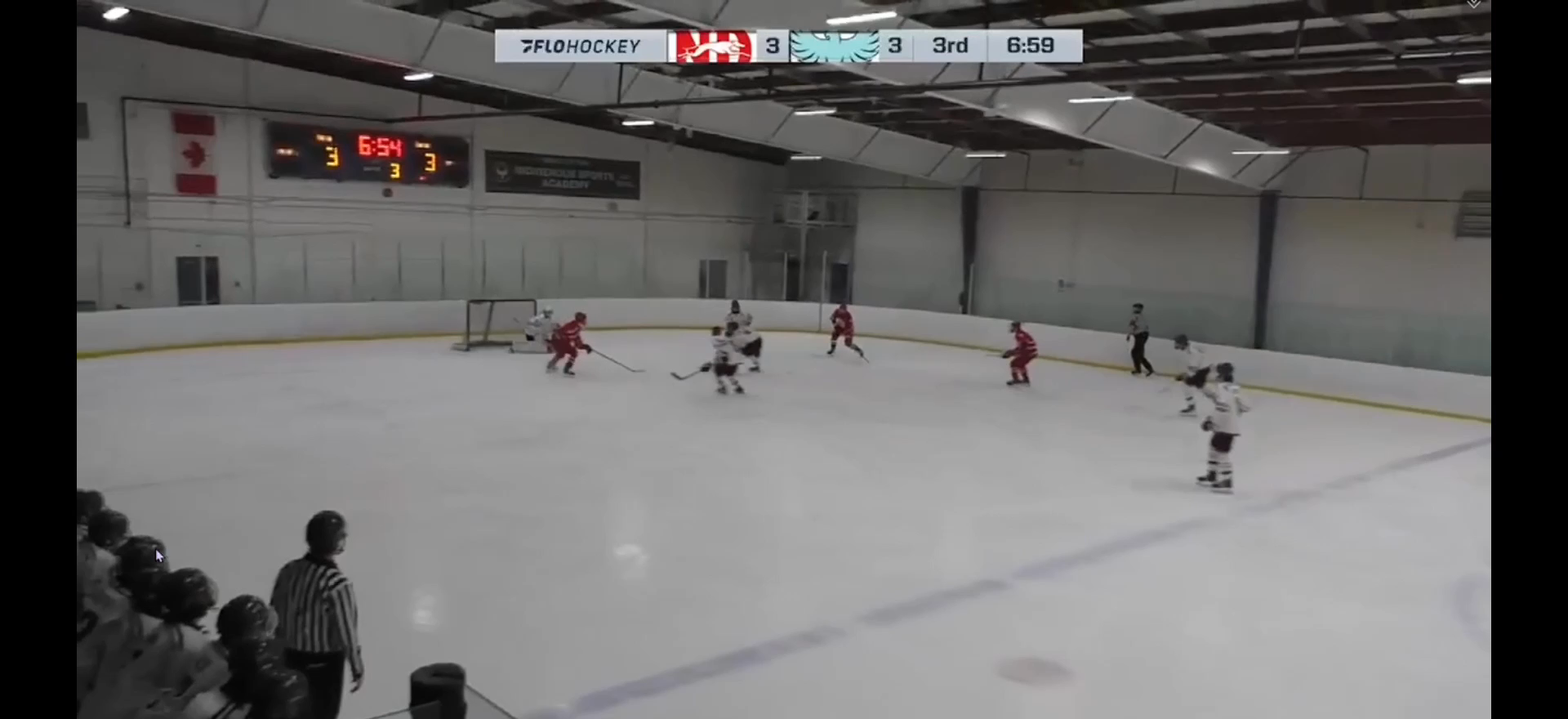 Maxim Bedskikh's Top Goals from