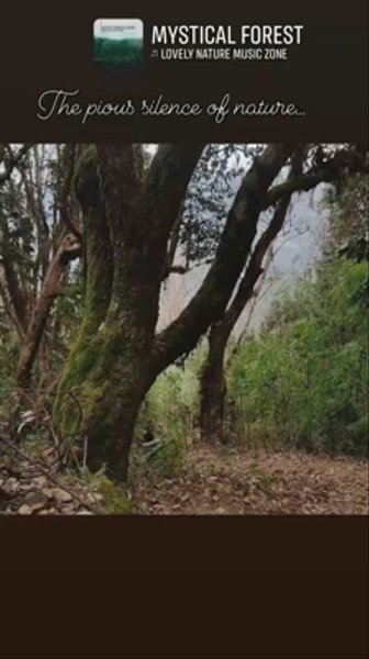 Photo of Exploring The Mounta