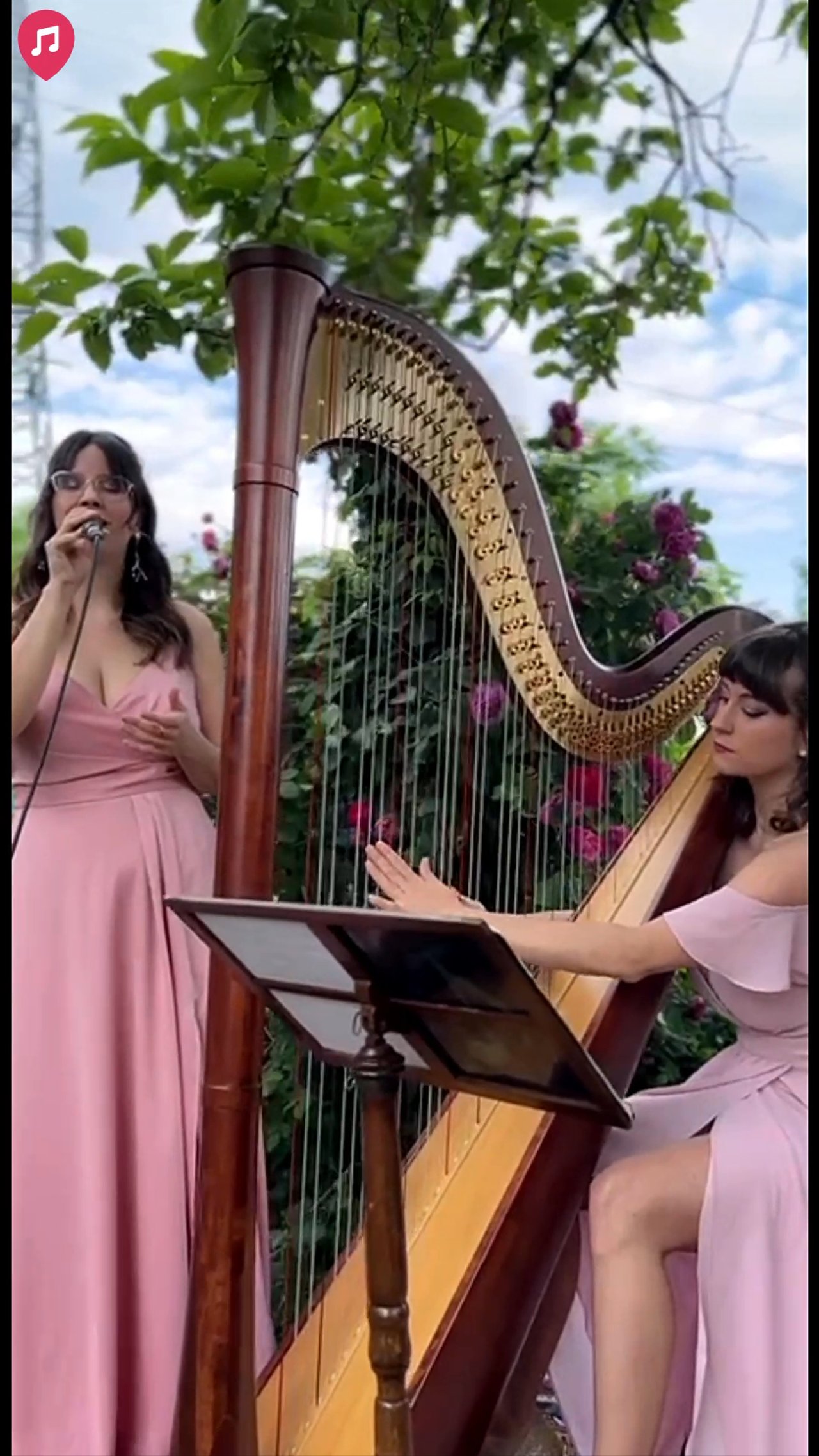 Aurora Harp - Singer & Harp Duo Live Showreel 2026 - video 3