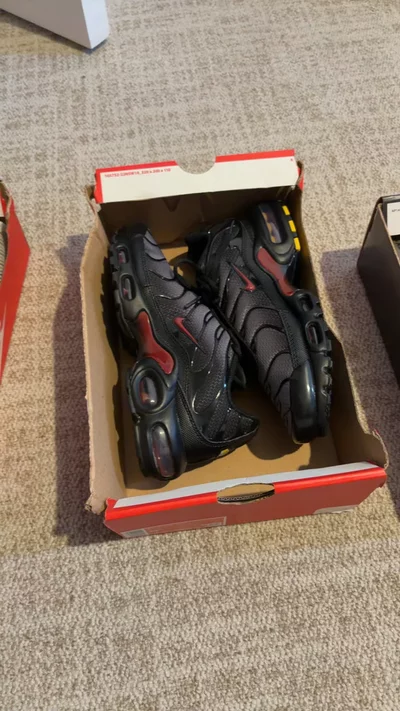 Nike Air Max Plus