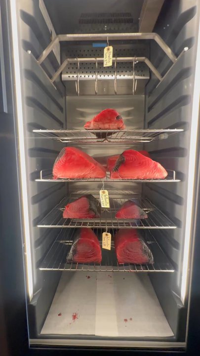 Mosonori - Fresh fish display - Sushi Bars Near Me - Orlando, Florida