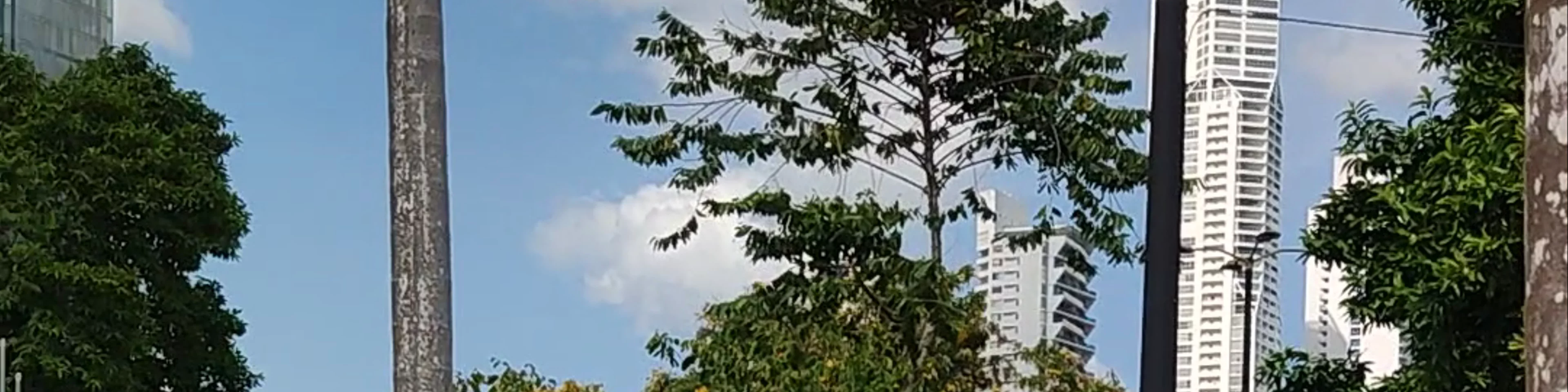 Mirador del Pacífico