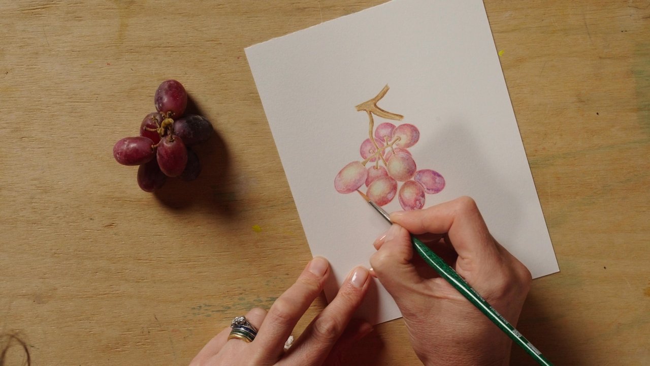 Botanical Painting  trailer